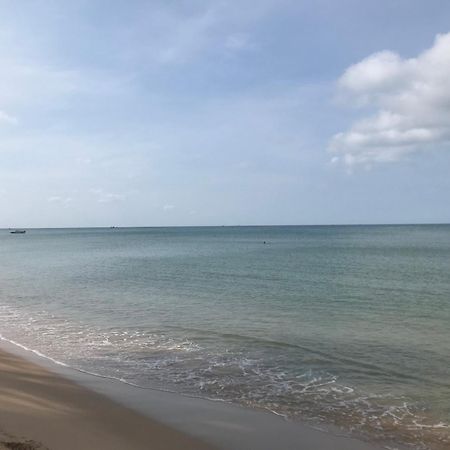 Myrtle Boutique Hotel דואונג דונג מראה חיצוני תמונה